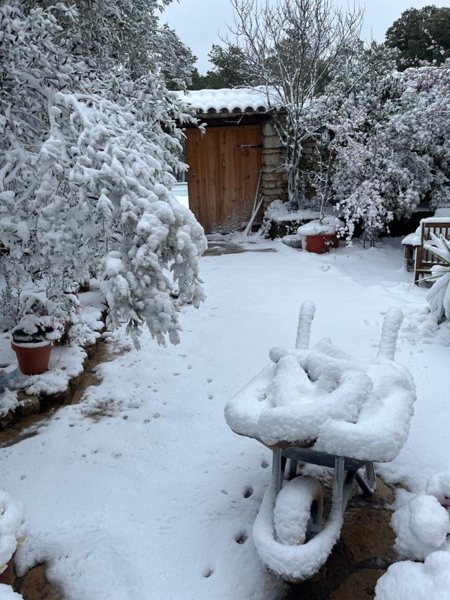 Masiadenjust Rojals Exteriör bild